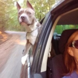 Meet your Posher, Alisha